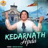 About Kedarnath Apda Song